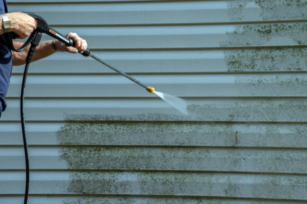 Best Driveway Pressure Washing  in Lincoln, AR